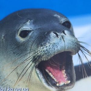 Meet your Posher, Nixon